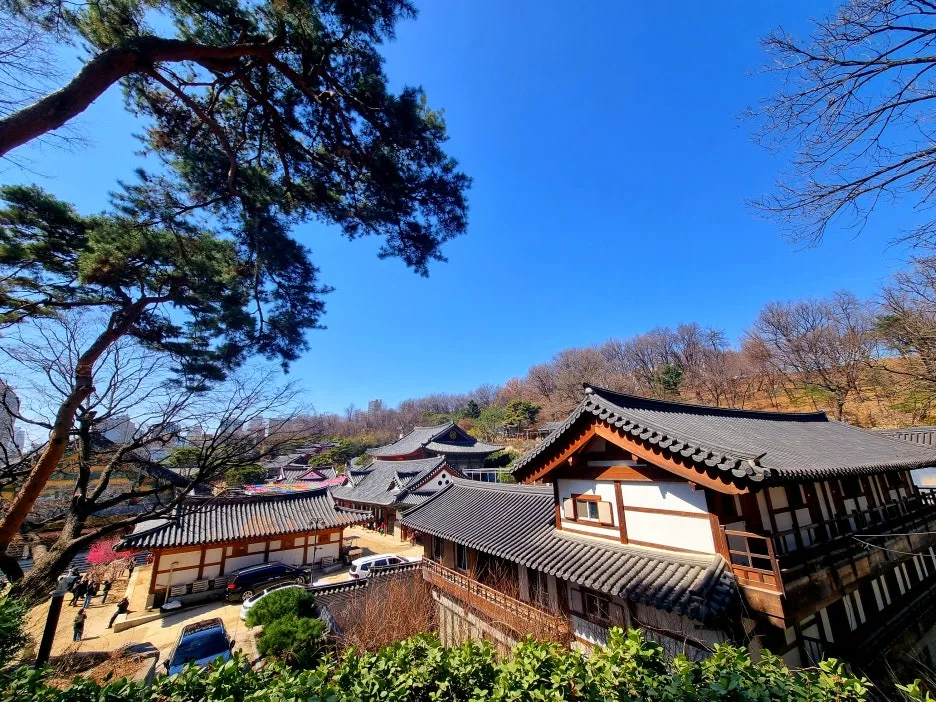 SE-93eada7a-d6ef-4936-88f2-f96f0d0b3ca3.jpg?type=w1