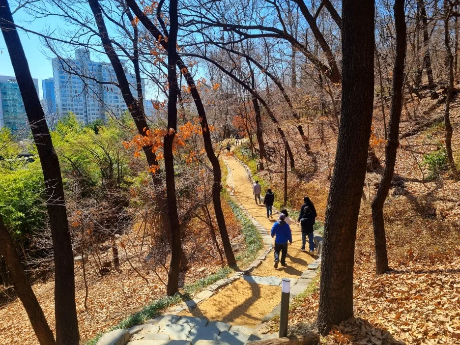 SE-0f0d19b6-c6e4-49ae-af92-eb8d3f96b50e.jpg?type=w1