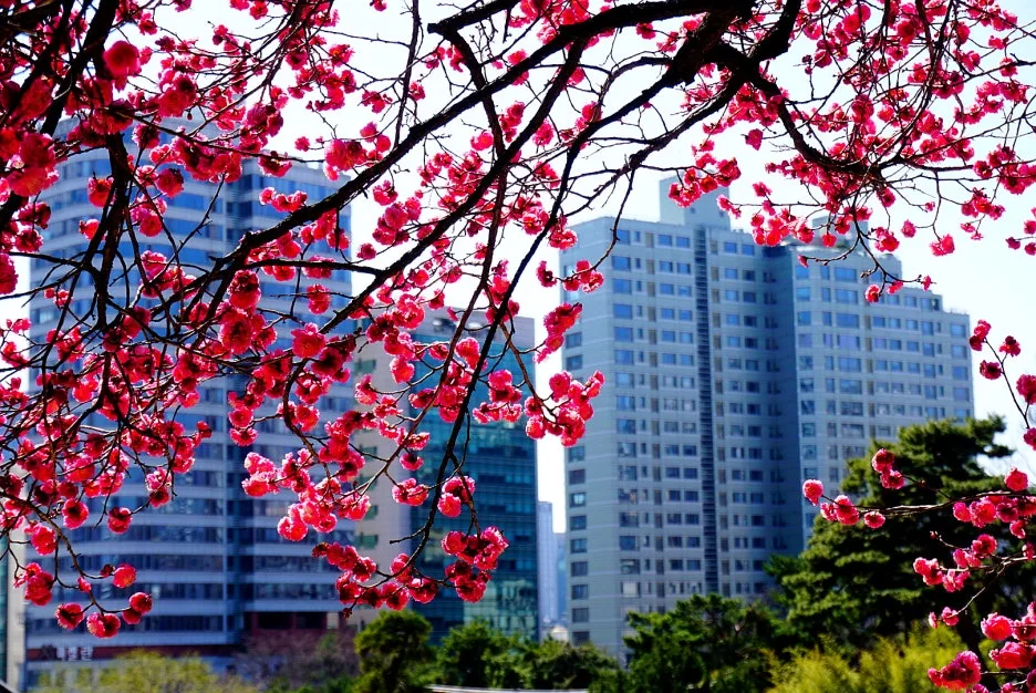 SE-cf990ee2-cfda-4be9-bc22-b76e3cf234f2.jpg?type=w1