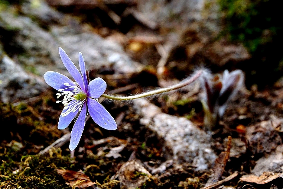 SE-7168d824-ca89-4bfa-b455-5078b39cb00e.jpg?type=w966