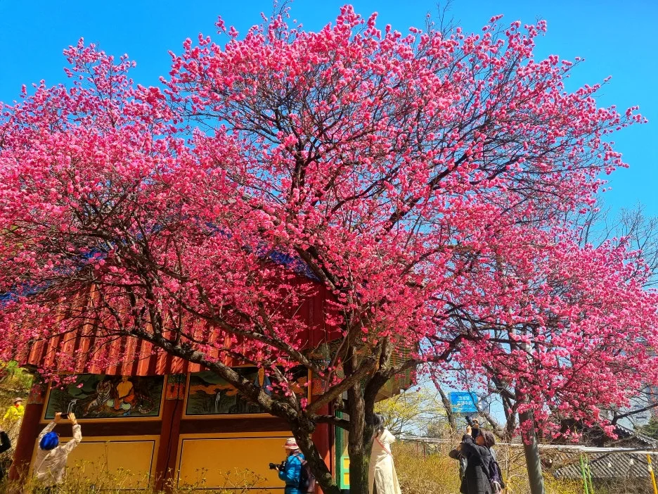 SE-d110af7d-9a19-4740-ba9e-66c020d01142.jpg?type=w1