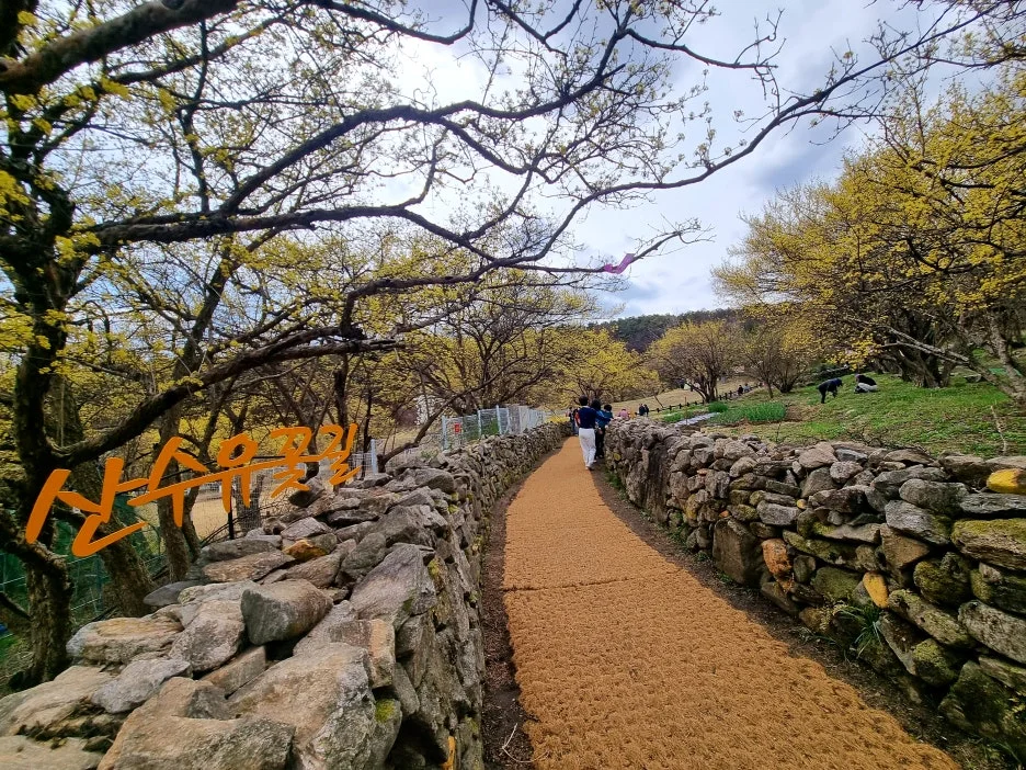 SE-d4fc79f0-0ce2-4962-9384-c7a09d119c8f.jpg?type=w1