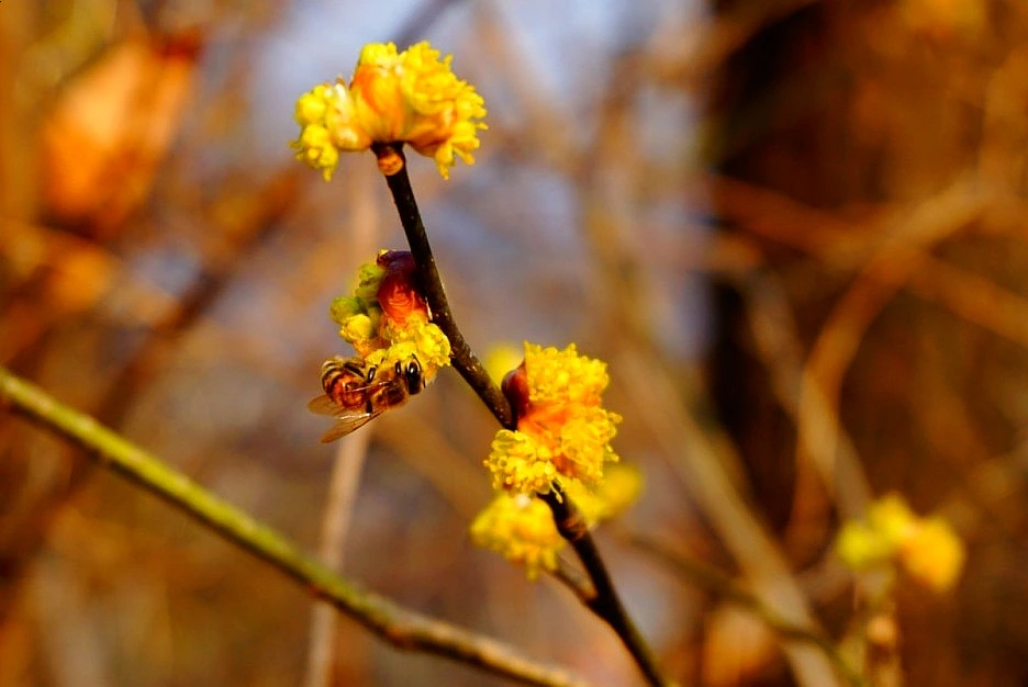 SE-9223cb6f-5455-4dc0-8279-d579213d2f0e.jpg?type=w1