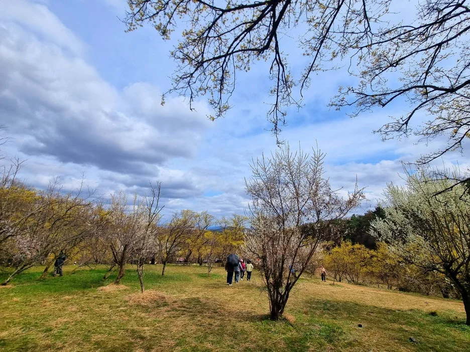 SE-857e0bed-753a-4d48-8f42-86381a86d02c.jpg?type=w1