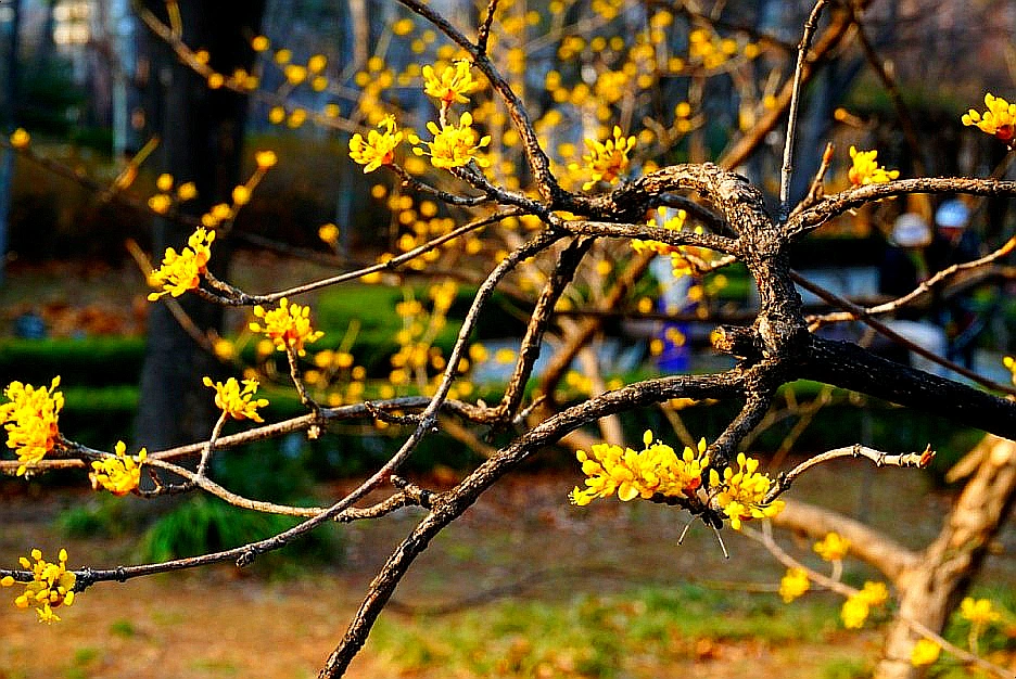 SE-791ab1db-85d0-428d-bfe4-1a5e0f29e716.jpg?type=w1