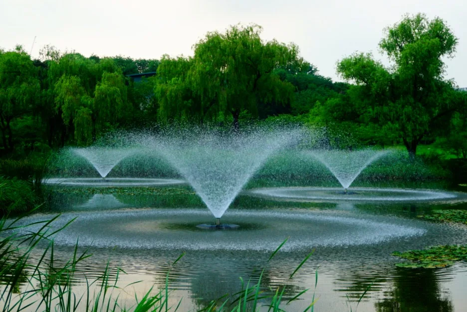 SE-c3858251-3403-4af4-802a-3fb06f9c9baf.jpg?type=w1