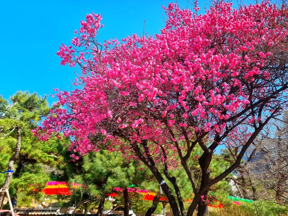 SE-f8126591-2a58-4f1e-ba7a-4e4faa6e597d.jpg?type=w1