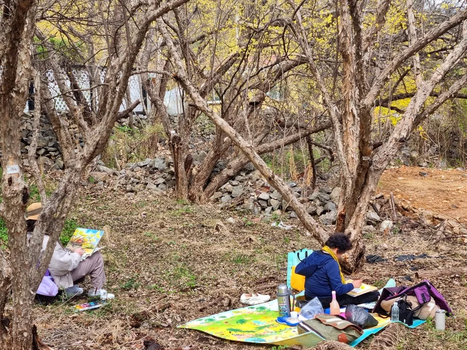 SE-7abcf451-c2a0-4a6c-aabd-b51f5f78a606.jpg?type=w1