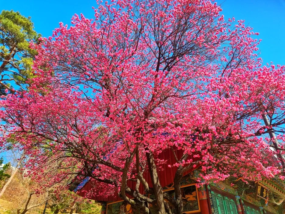 SE-c1850ba9-0826-4733-b978-a592edb44647.jpg?type=w1