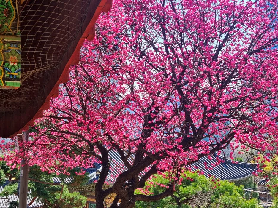 SE-2782f169-f95b-4c46-b9ed-e3c56b6d66a5.jpg?type=w1