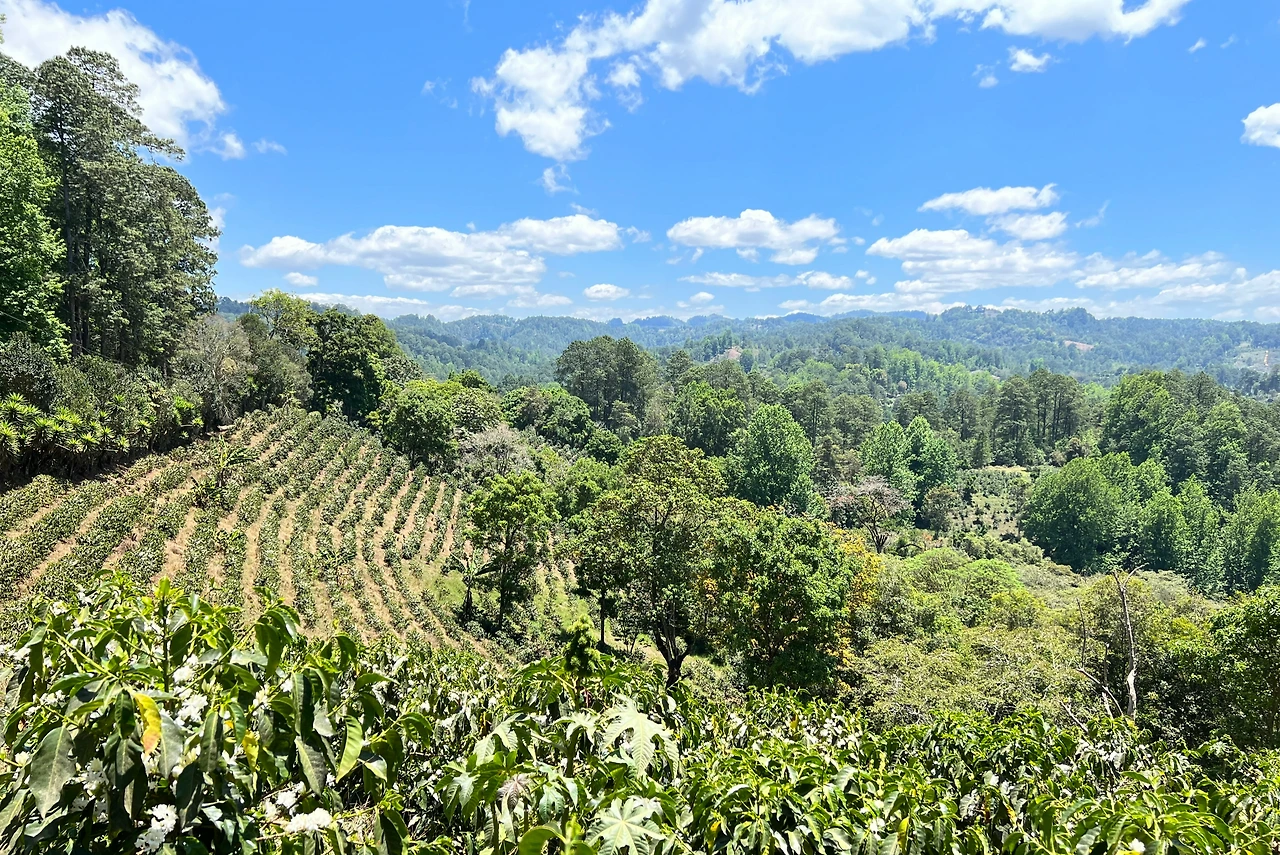 이미지 4. 그녀의 애정이 깃든 엘 푸엔테 농장 전경 Ⓒ Yunseon Lee.JPG