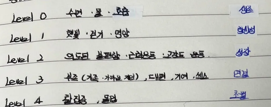 SE-d025b348-57df-4e32-b34d-e4b321cf7dfa.jpg?type=w1