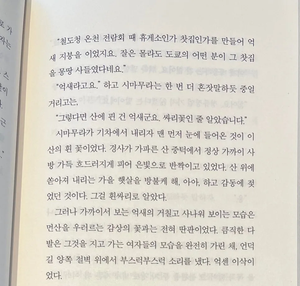 SE-71b108d7-cbac-46ef-ac7b-9edecc033fe0.jpg?type=w966