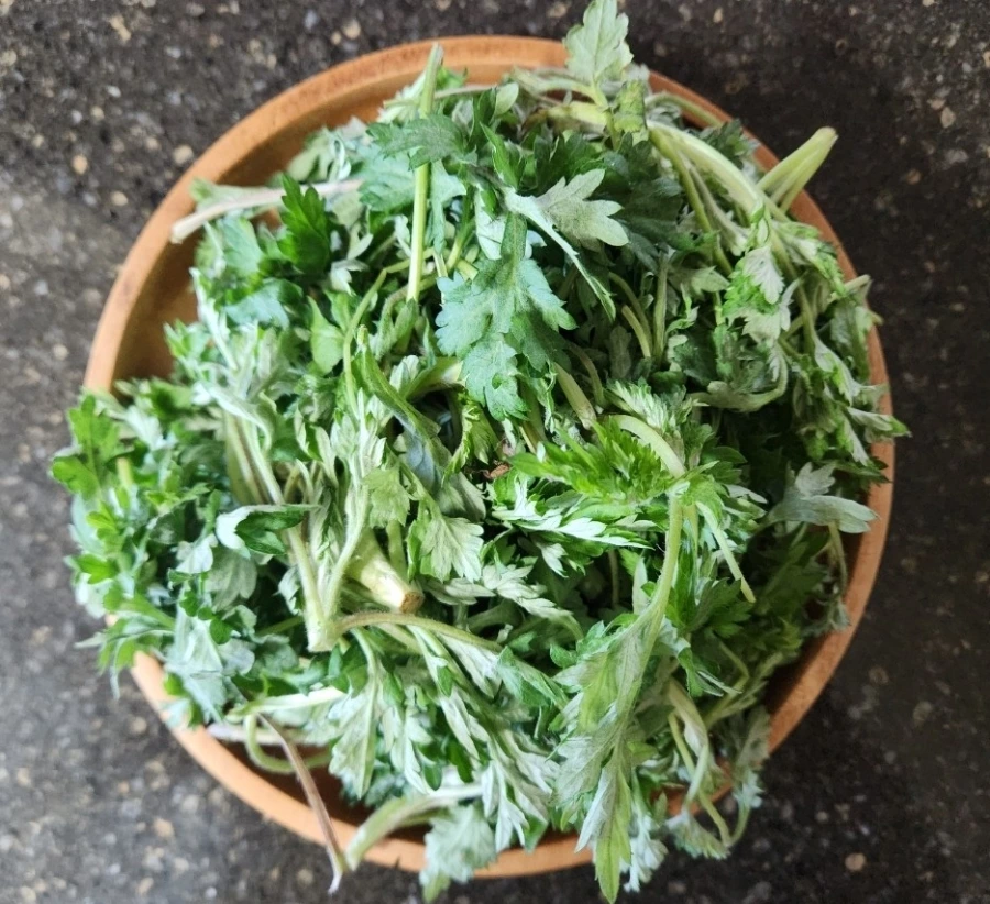 900%EF%BC%BF1773458556523.jpg?type=w966