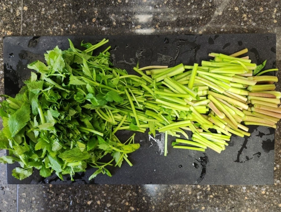 900%EF%BC%BF1775695045696.jpg?type=w1