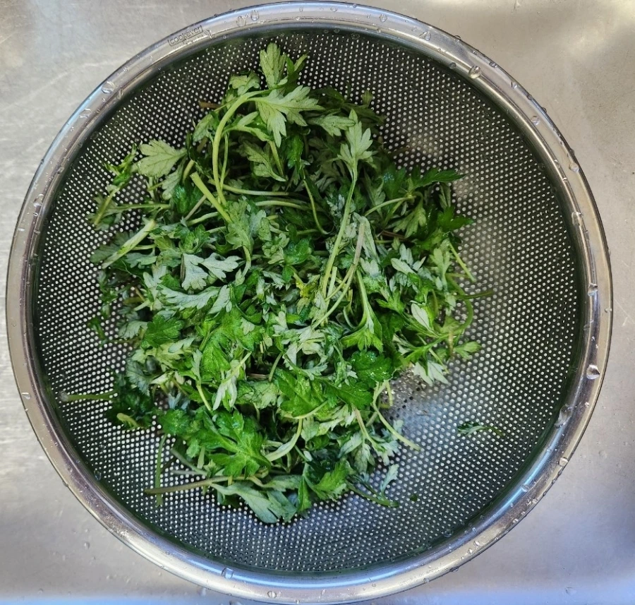 900%EF%BC%BF1773458600100.jpg?type=w966