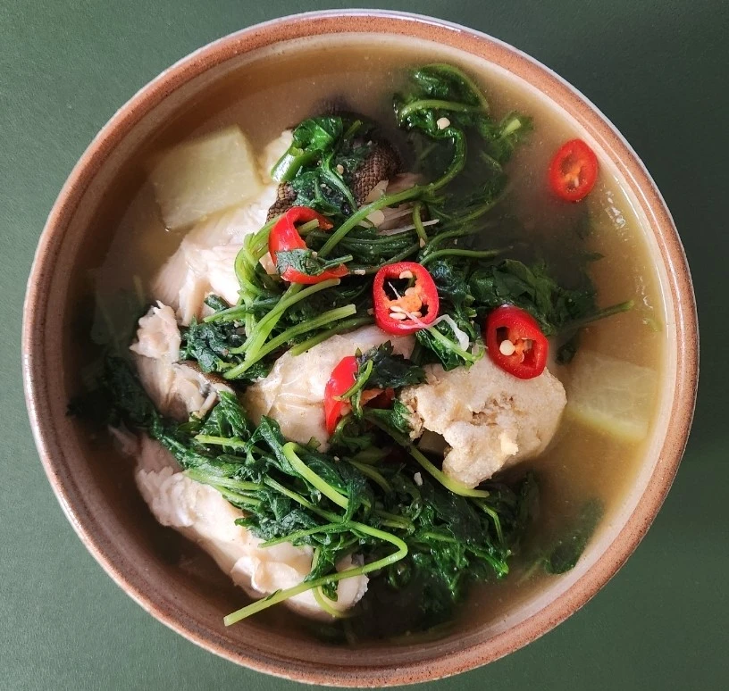 1773459002213.jpg?type=w966