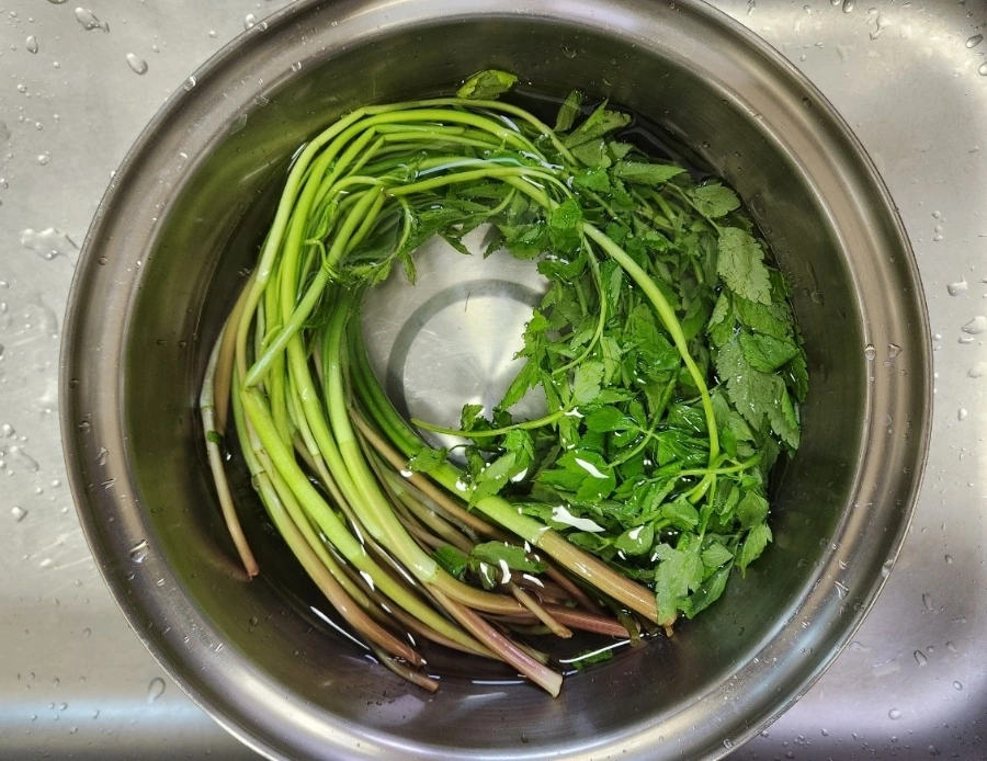 900%EF%BC%BF1775695000008.jpg?type=w1