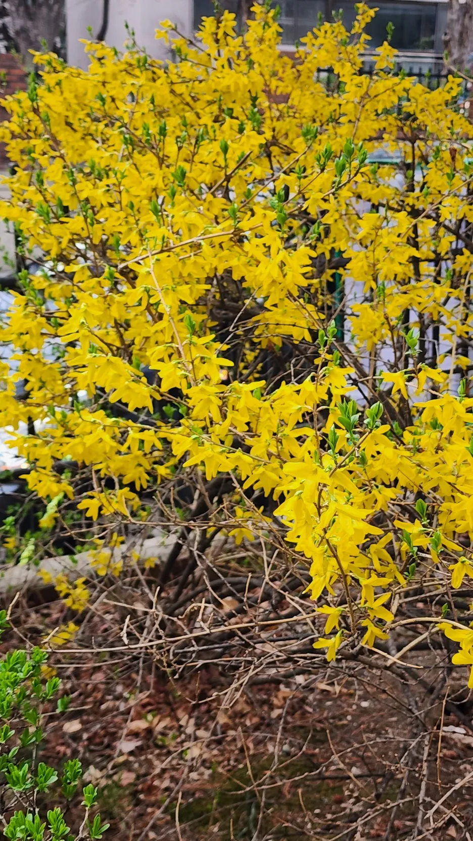 KakaoTalk_20260331_165611991_02.jpg?type=w1