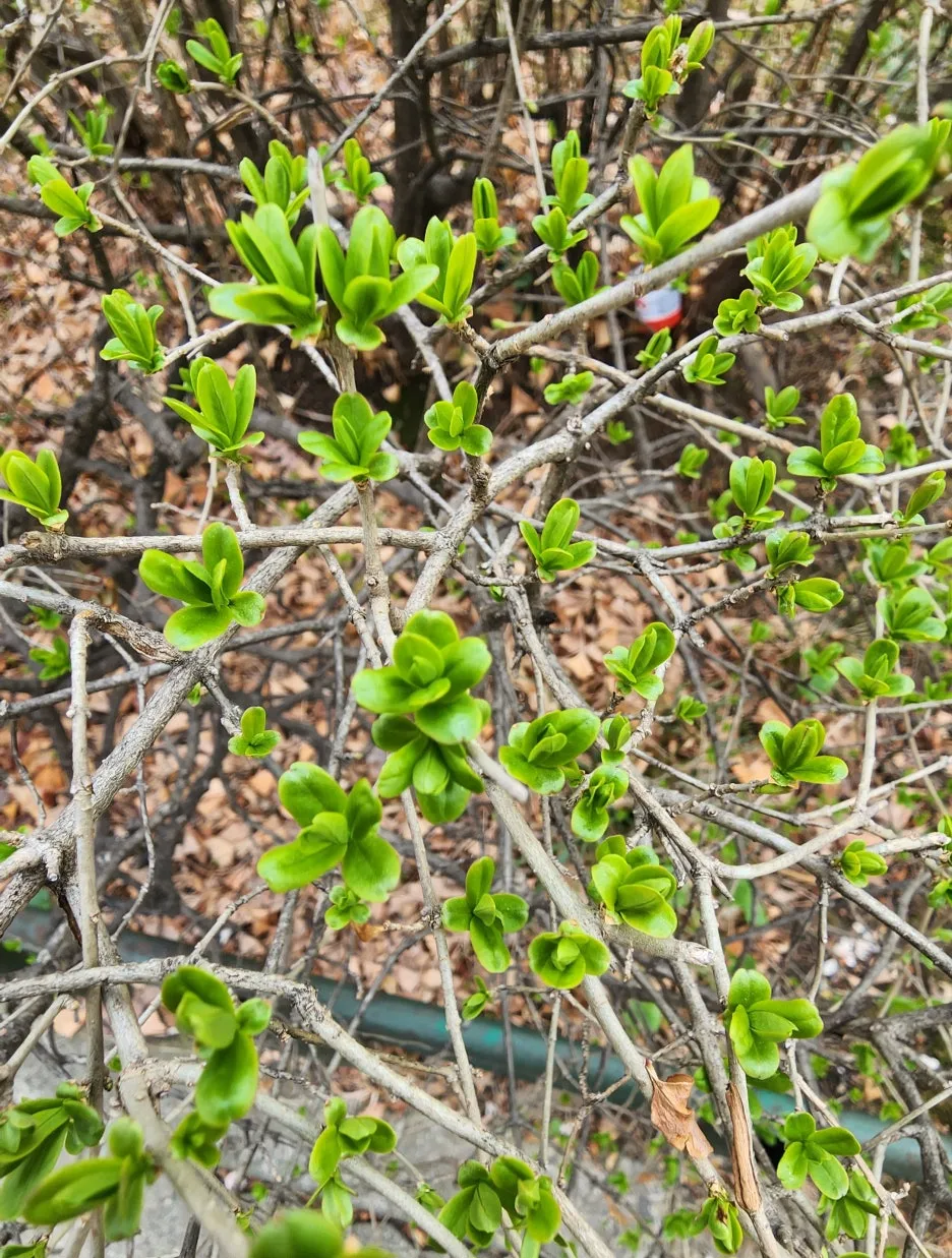 KakaoTalk_20260324_150921374_02.jpg?type=w1