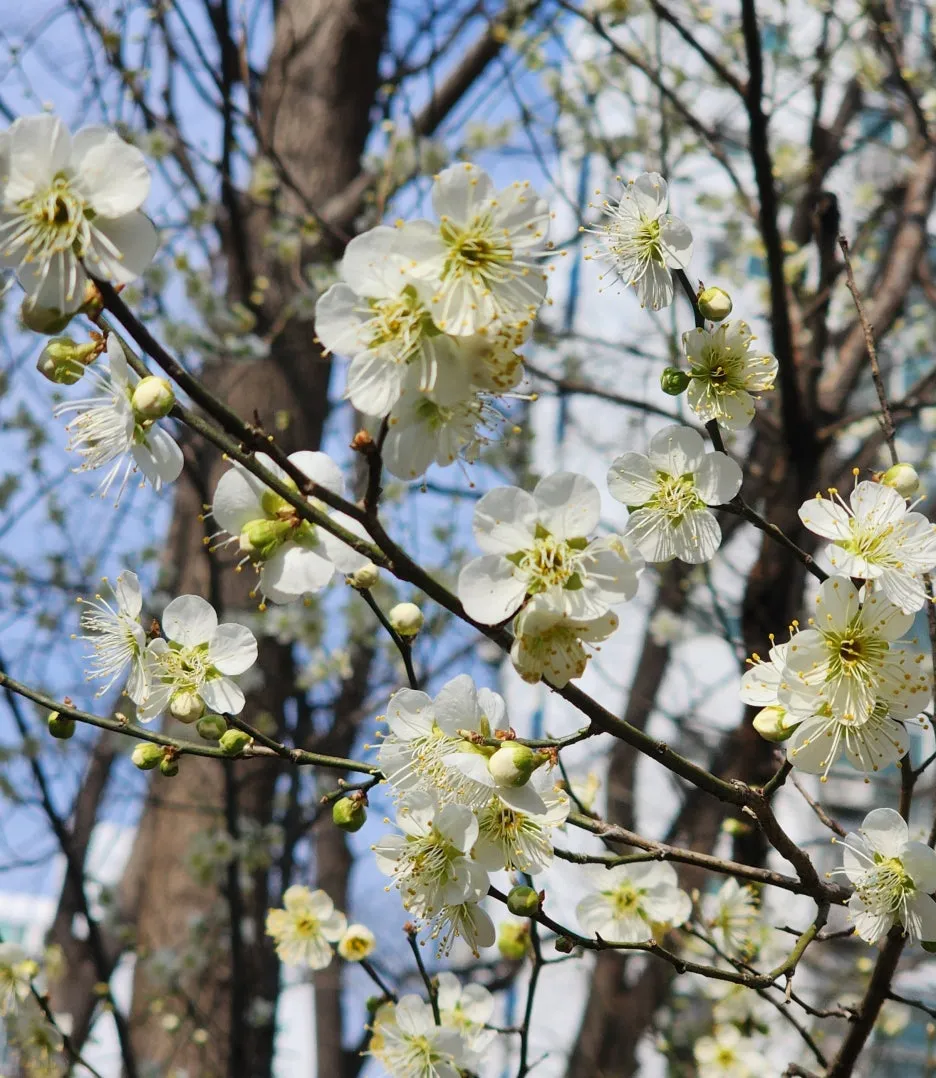 KakaoTalk_20260324_150921374.jpg?type=w1