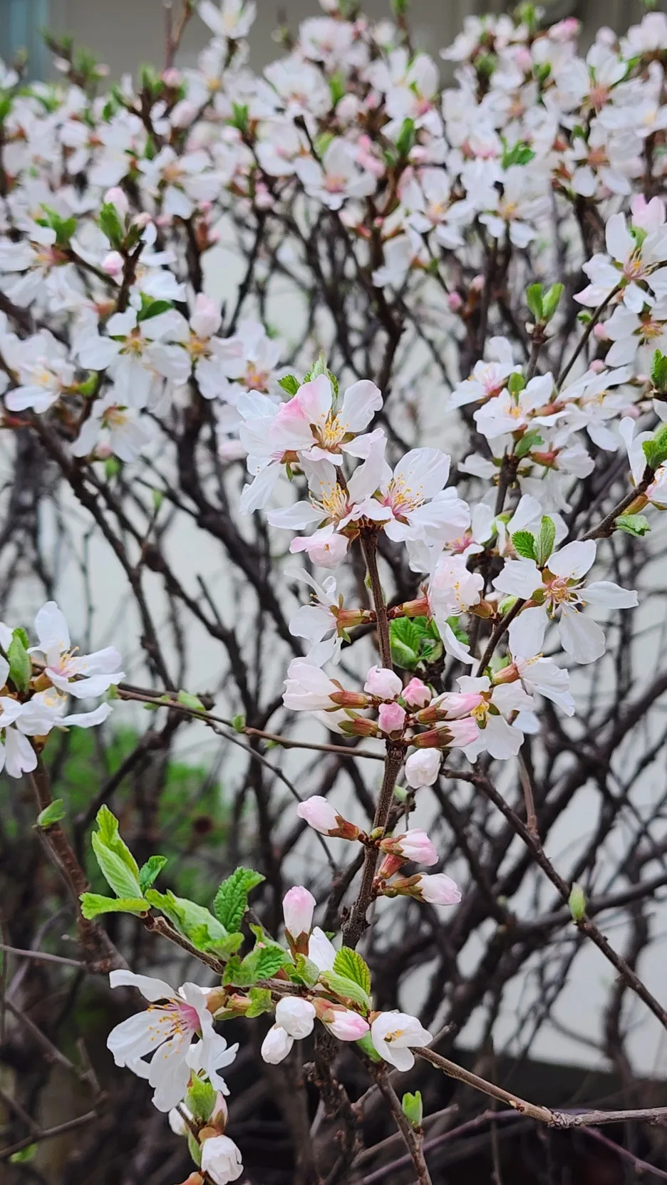 KakaoTalk_20260331_165611991_04.jpg?type=w1