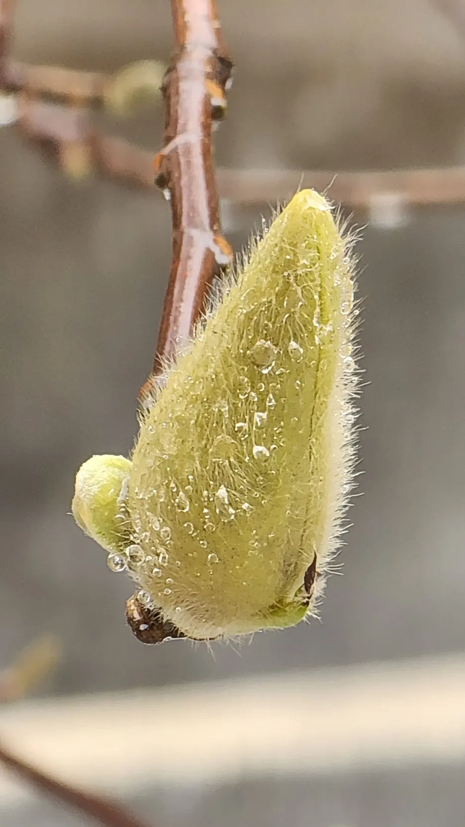 KakaoTalk_20260318_102153606_03.jpg?type=w1