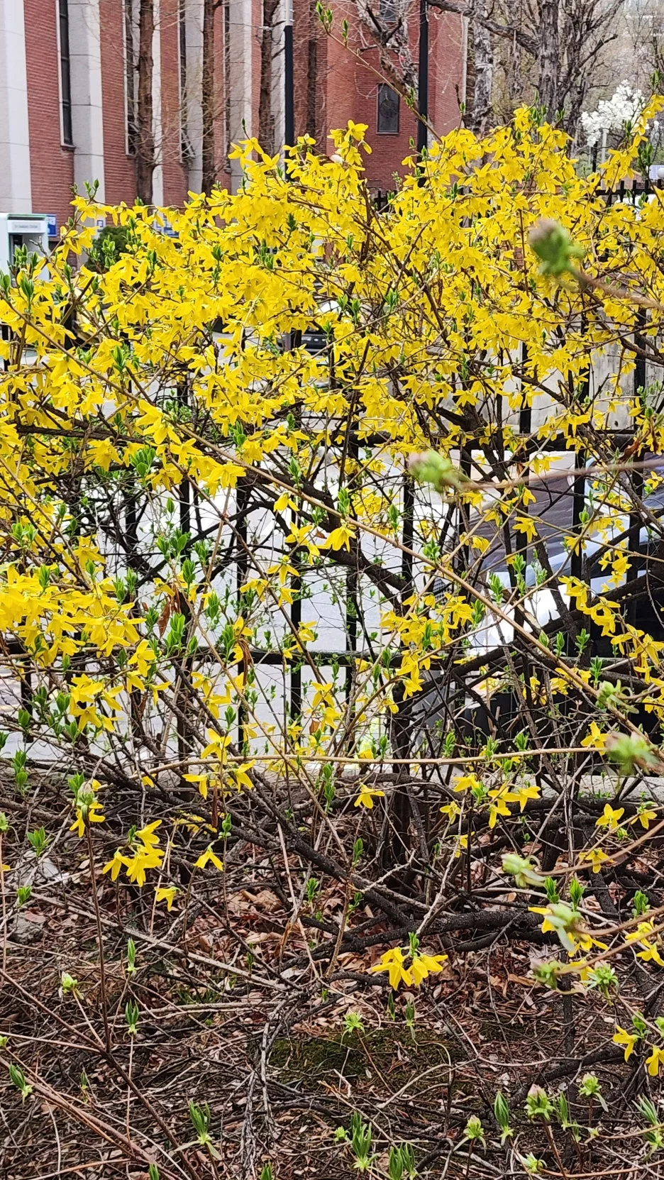 KakaoTalk_20260331_165611991_03.jpg?type=w1