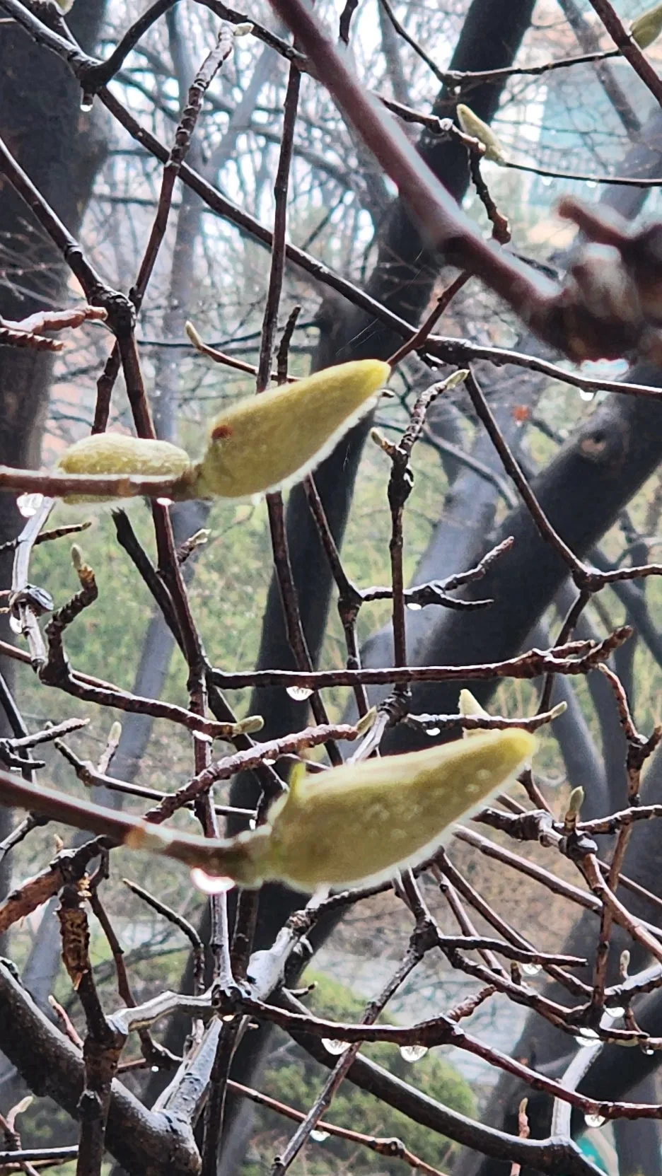 KakaoTalk_20260318_102153606.jpg?type=w1