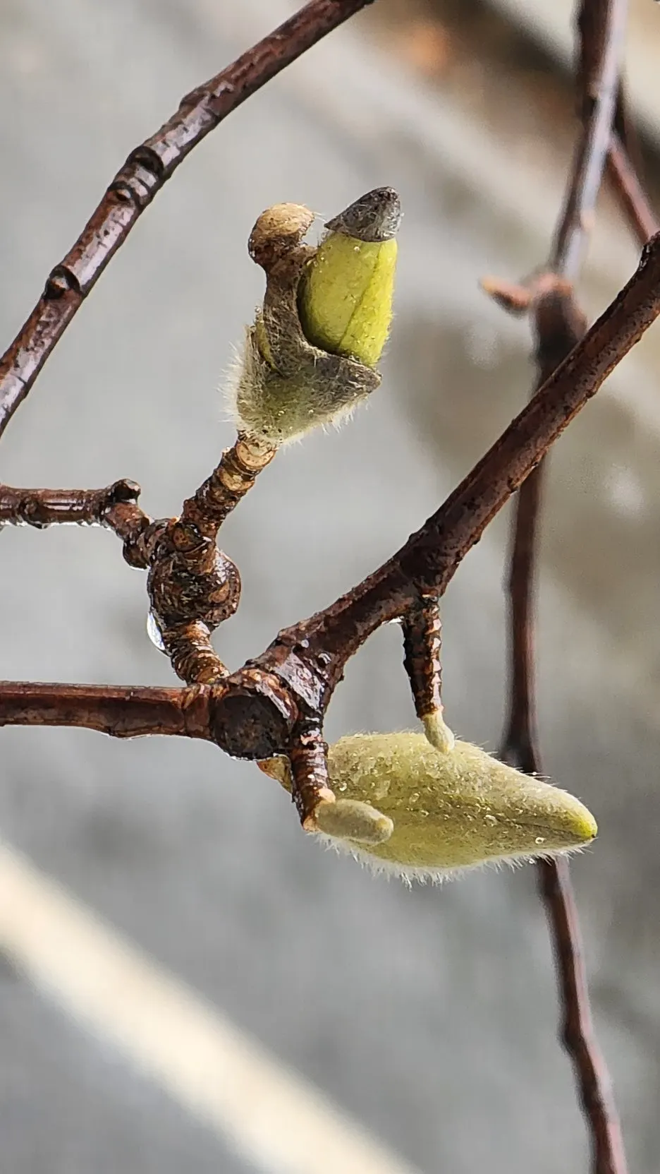 KakaoTalk_20260318_102153606_01.jpg?type=w1