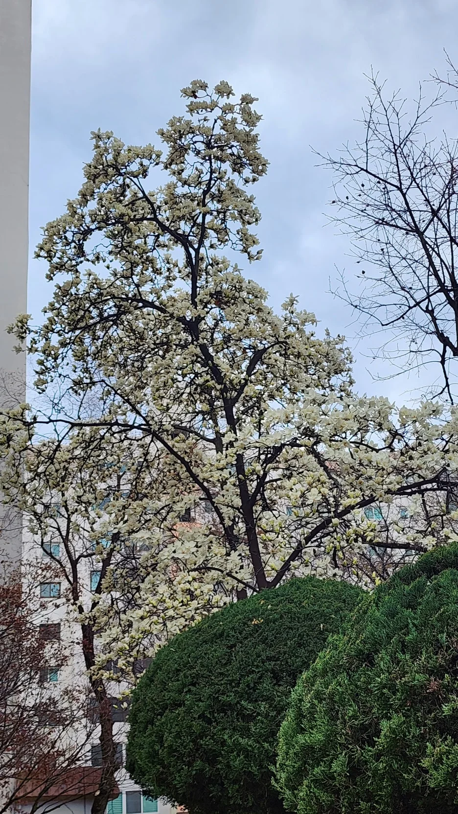 KakaoTalk_20260331_165611991_01.jpg?type=w1