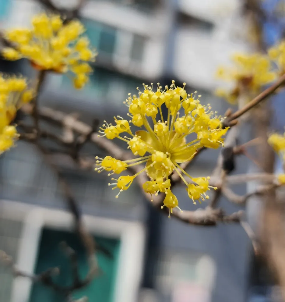 KakaoTalk_20260324_150921374_01.jpg?type=w1