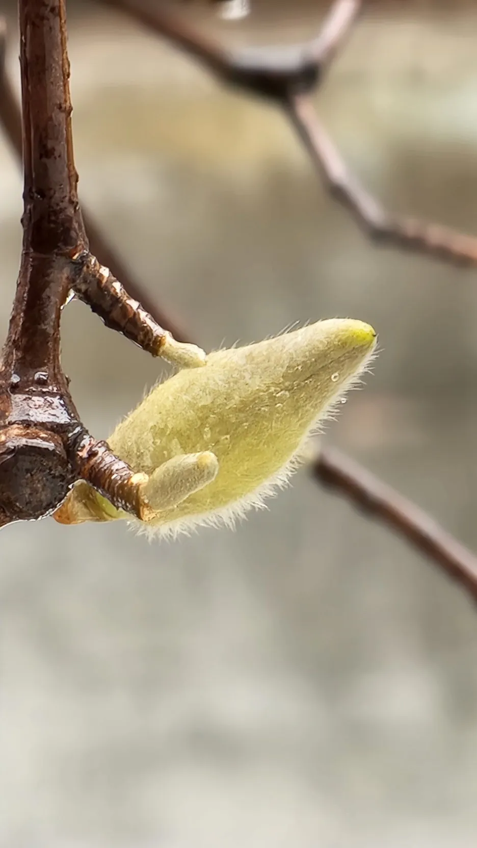 KakaoTalk_20260318_102153606_02.jpg?type=w1