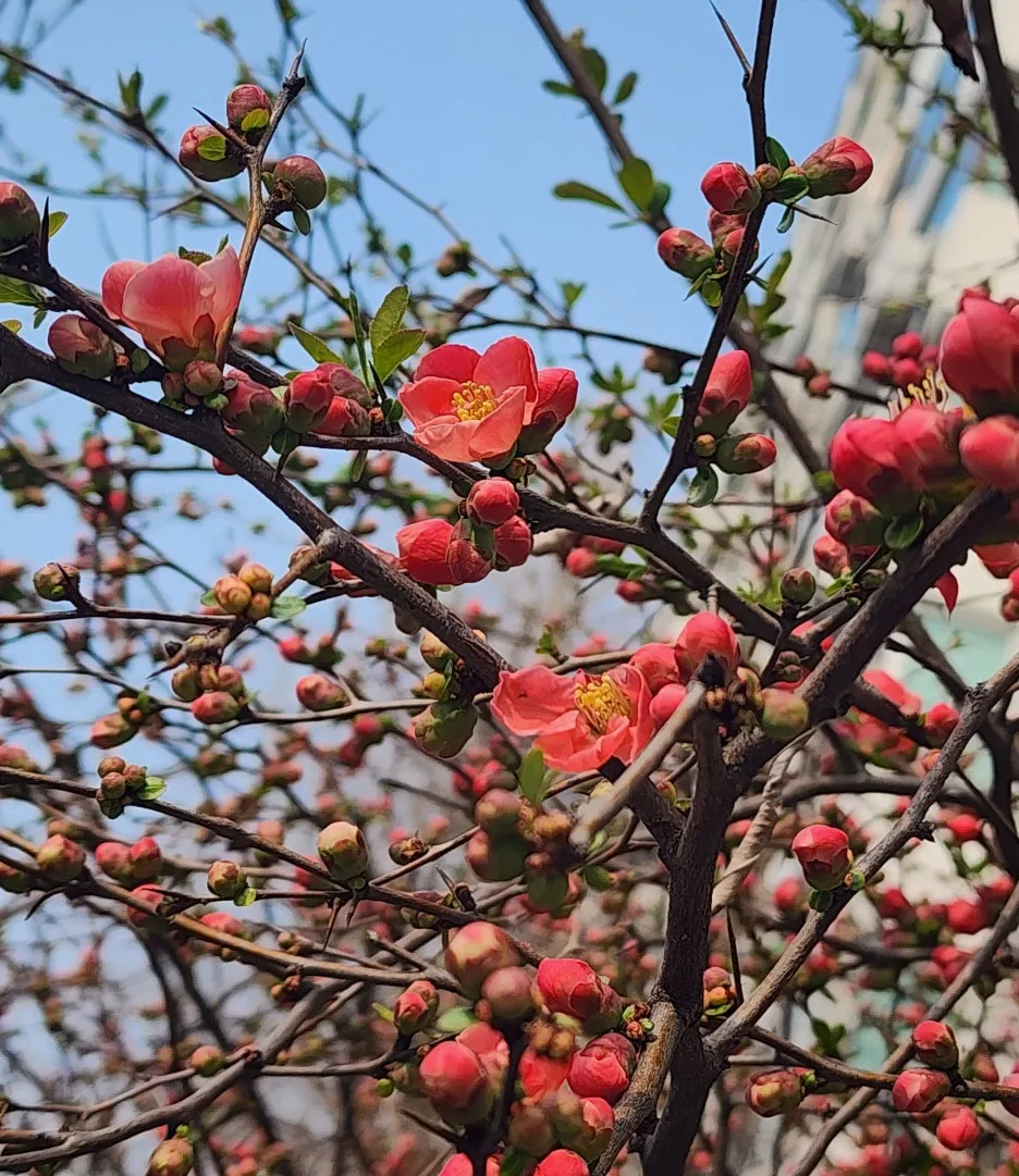 KakaoTalk_20260327_162042310_03.jpg?type=w1