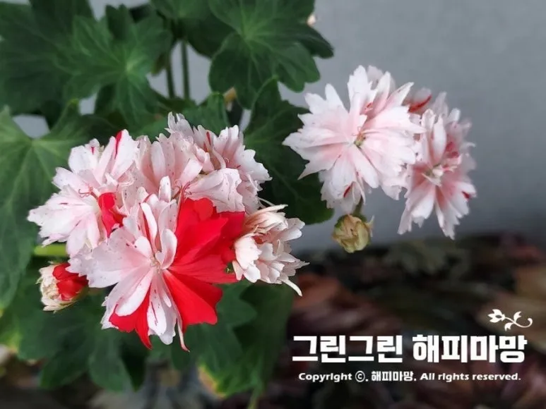 1655365262560.jpg?type=w773