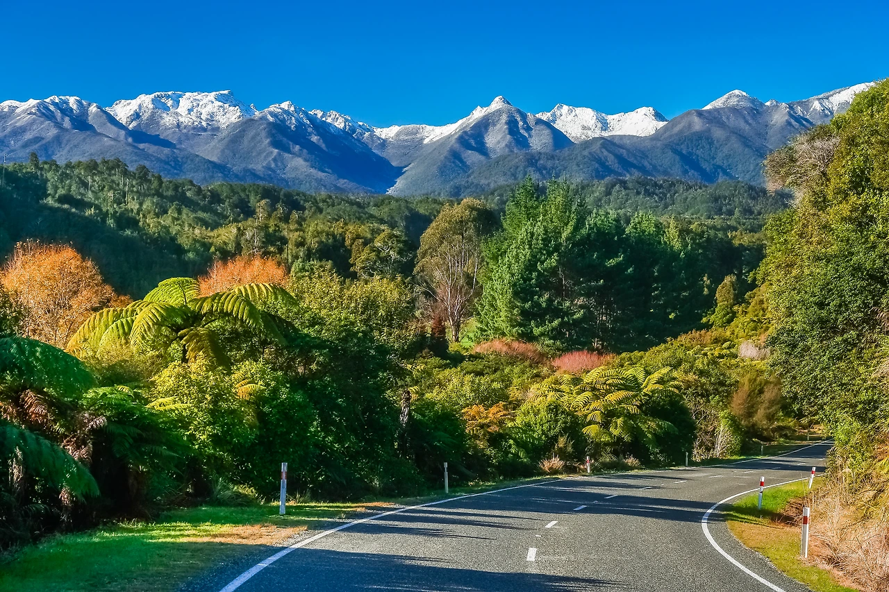 img.jpg?credential=yqXZFxpELC7KVnFOS48ylbz2pIh7yKj8&expires=1769871599&allow_ip=&allow_referer=&signature=MfHl9wB7X1r54KzSiASFyVrSaGI%3D