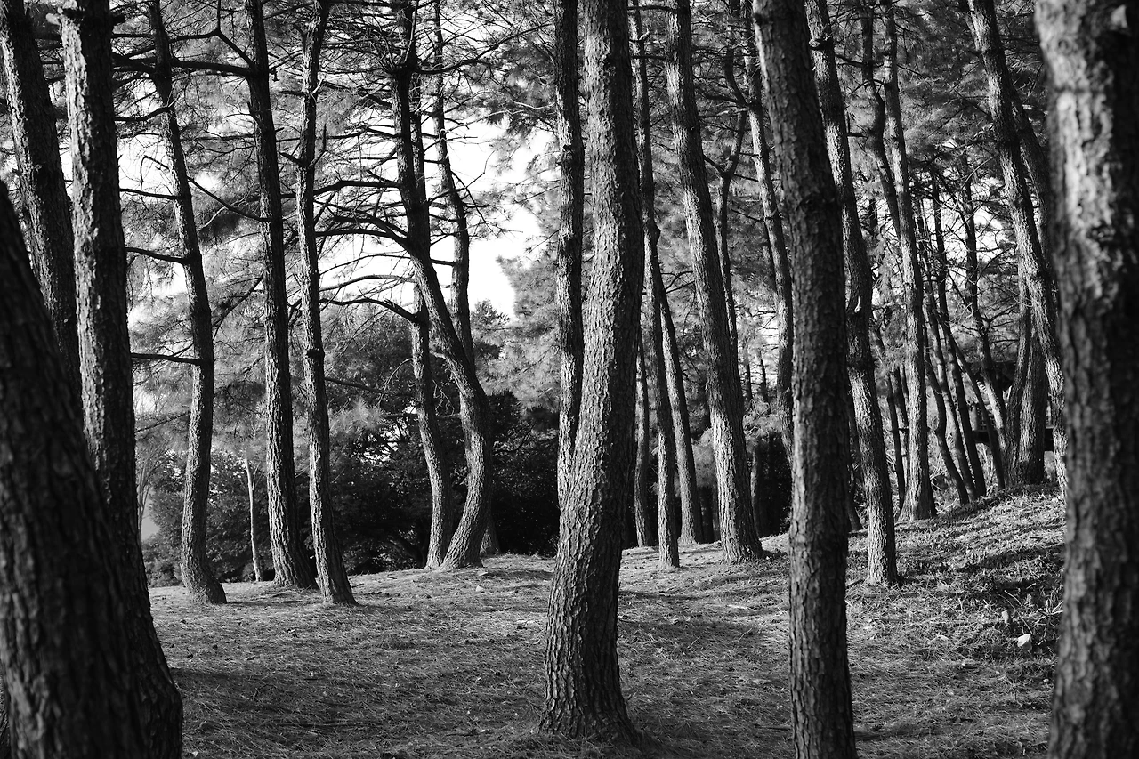 img.jpg?credential=yqXZFxpELC7KVnFOS48ylbz2pIh7yKj8&expires=1772290799&allow_ip=&allow_referer=&signature=Lv6ZjewQcvhBTaUZxiC4bAJAysA%3D