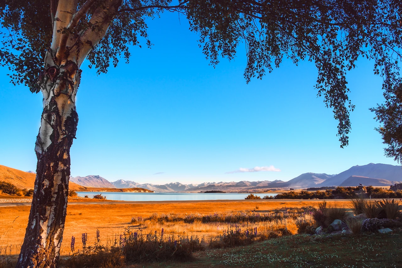 img.jpg?credential=yqXZFxpELC7KVnFOS48ylbz2pIh7yKj8&expires=1769871599&allow_ip=&allow_referer=&signature=wm%2F0LBMxQrnuGJX2phVG4xBmvx4%3D