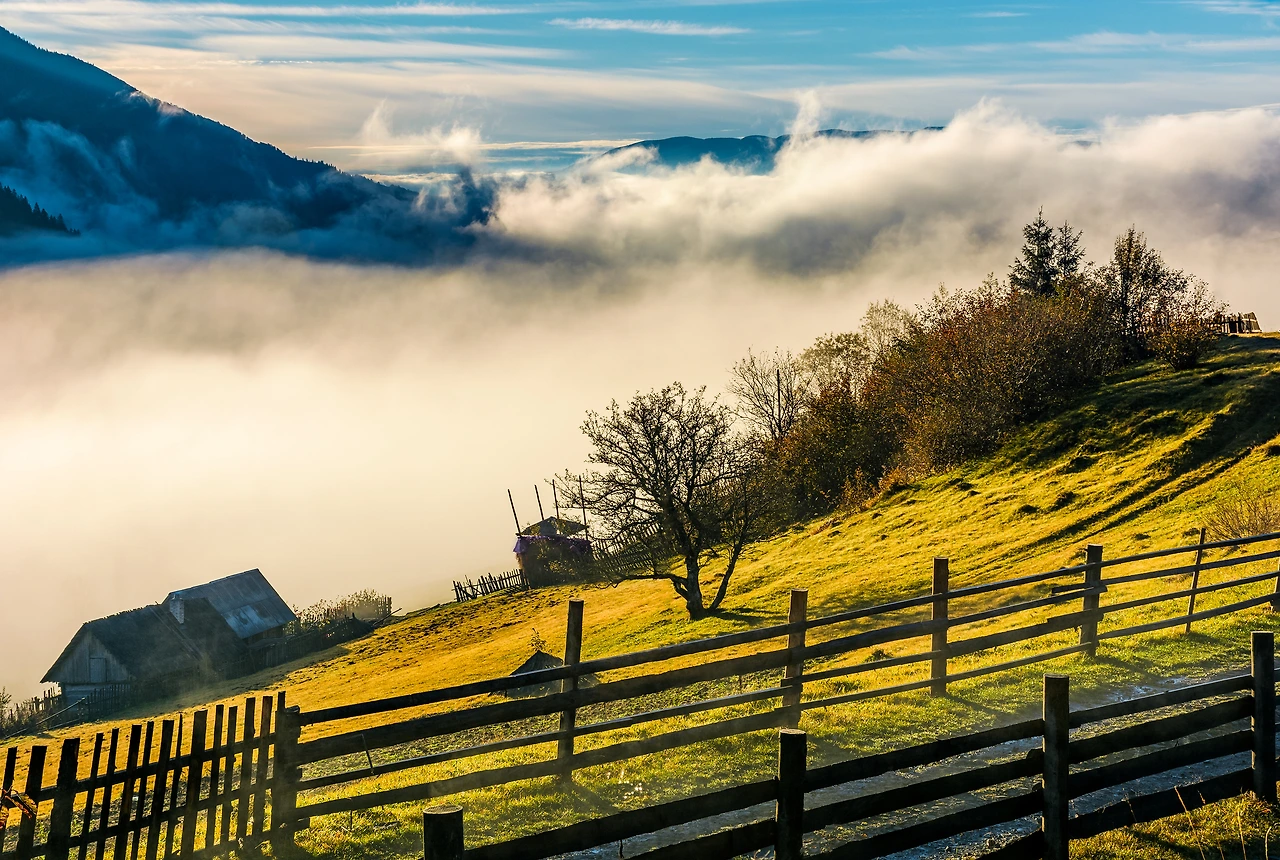 img.jpg?credential=yqXZFxpELC7KVnFOS48ylbz2pIh7yKj8&expires=1769871599&allow_ip=&allow_referer=&signature=mI7hZM08c7z60M7bXFrEYsZvoOs%3D