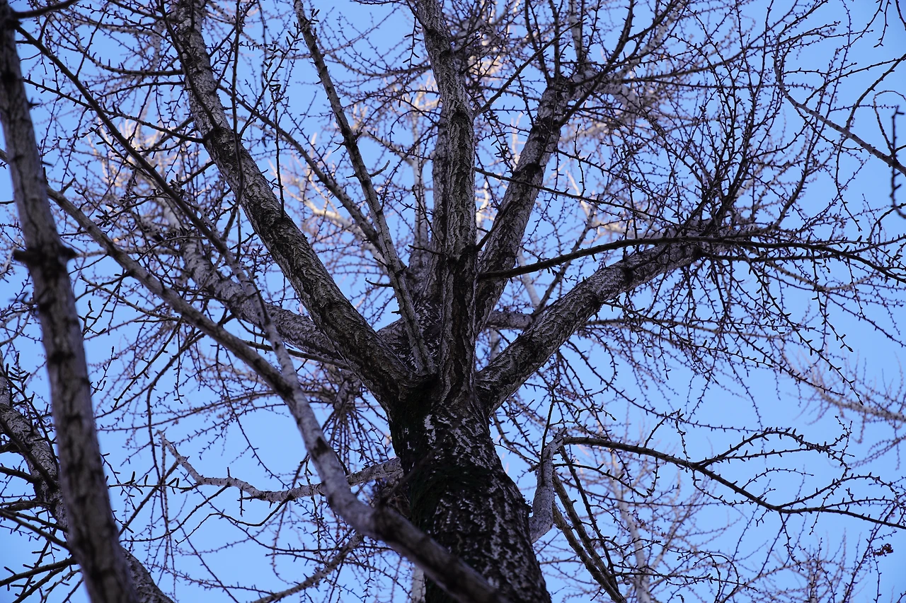 img.jpg?credential=yqXZFxpELC7KVnFOS48ylbz2pIh7yKj8&expires=1772290799&allow_ip=&allow_referer=&signature=3jN9qrkM3dyemCbBNlKiSTKQ%2Fms%3D