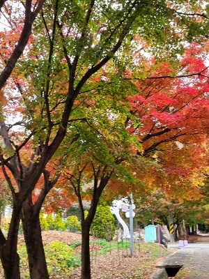 1741251297431-22.jpg?type=w773