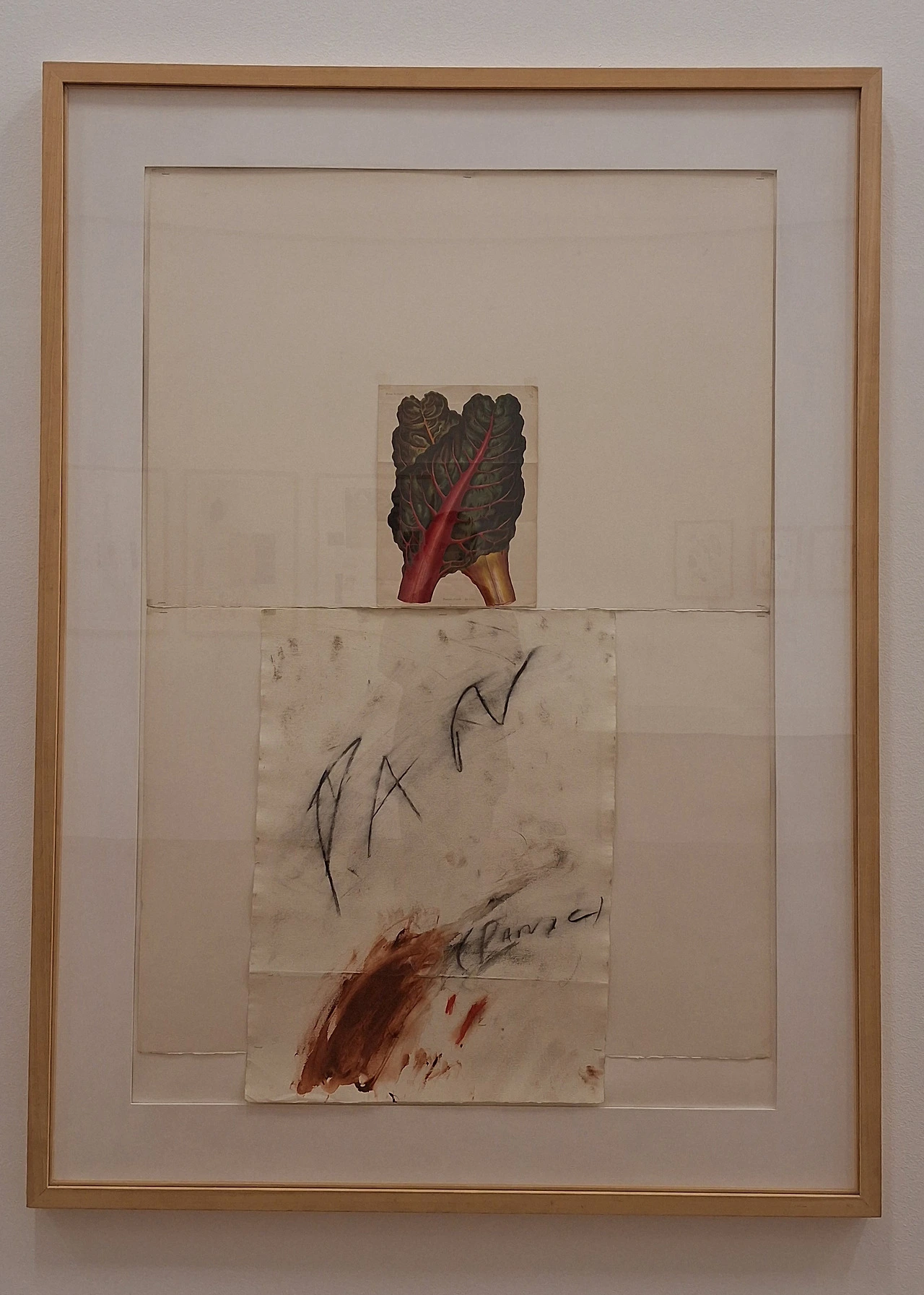 img.jpg?credential=yqXZFxpELC7KVnFOS48ylbz2pIh7yKj8&expires=1772290799&allow_ip=&allow_referer=&signature=AAKaLoJ50rE0ZfFYAeaCOyLxy%2BU%3D