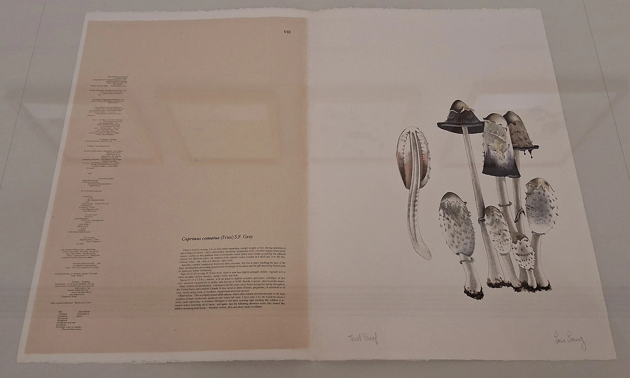 img.jpg?credential=yqXZFxpELC7KVnFOS48ylbz2pIh7yKj8&expires=1772290799&allow_ip=&allow_referer=&signature=vfeeNgs9soiQMPCkAmxgzpcbrpM%3D