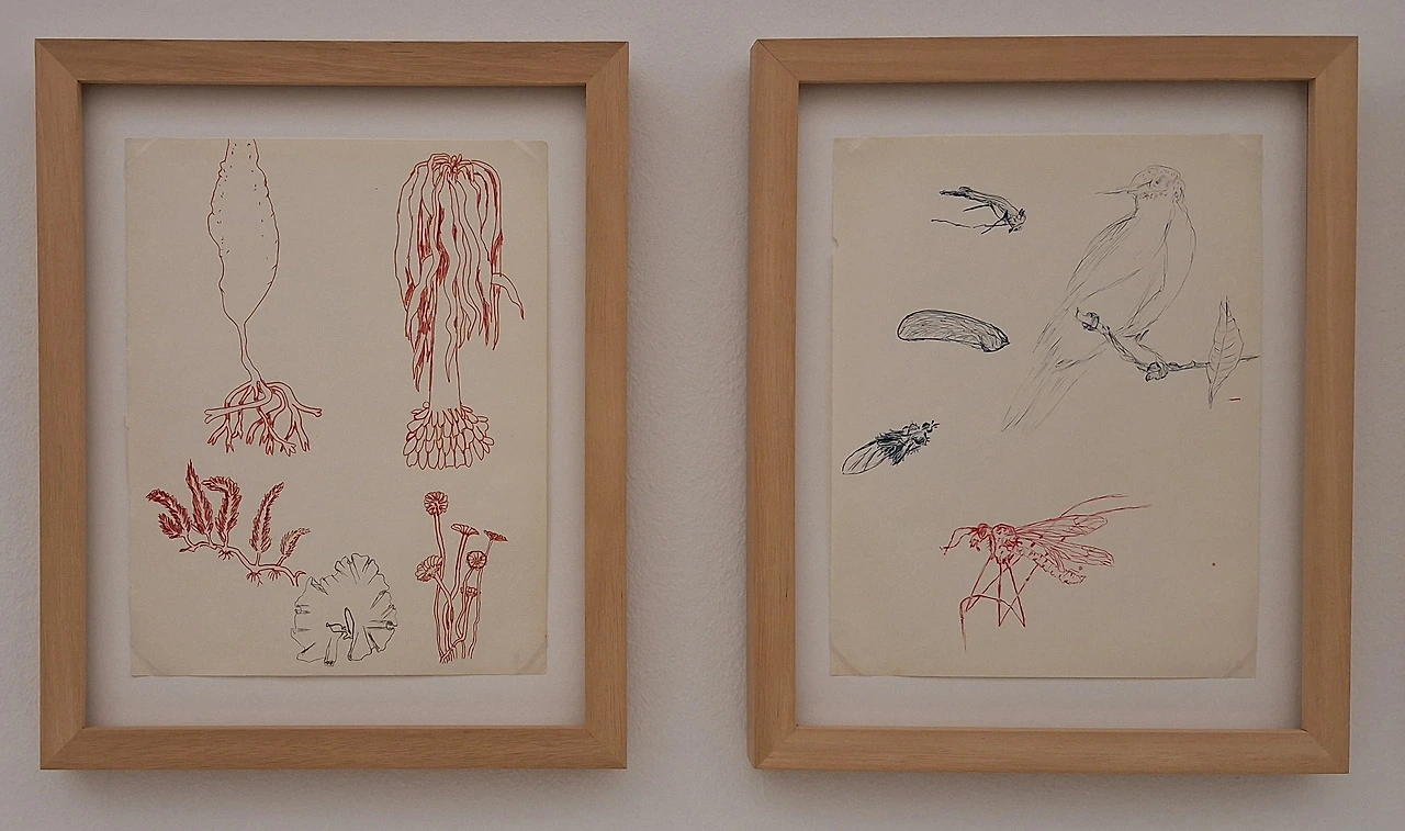 img.jpg?credential=yqXZFxpELC7KVnFOS48ylbz2pIh7yKj8&expires=1772290799&allow_ip=&allow_referer=&signature=IQFuwsEKzuqPoDGcc0GL4ULKEKw%3D