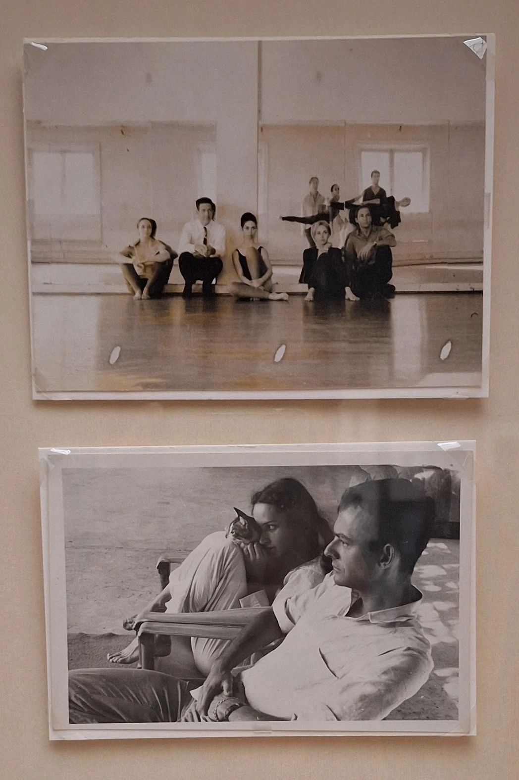 img.jpg?credential=yqXZFxpELC7KVnFOS48ylbz2pIh7yKj8&expires=1772290799&allow_ip=&allow_referer=&signature=xbFQdJBymI%2BiLq57tfy88I5cc1Q%3D