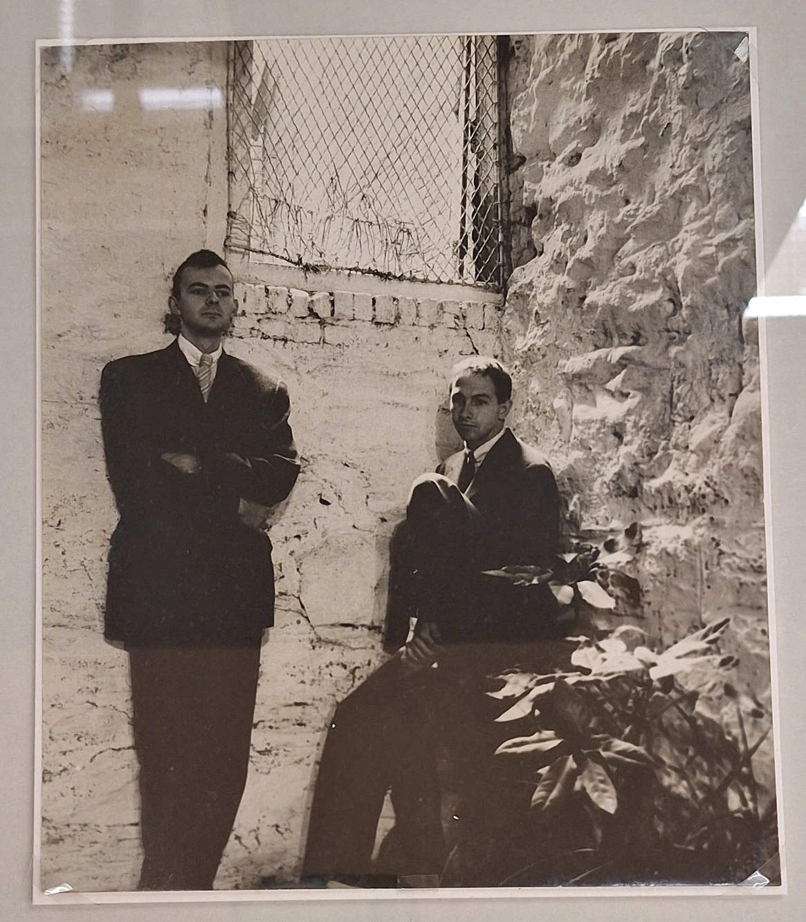 img.jpg?credential=yqXZFxpELC7KVnFOS48ylbz2pIh7yKj8&expires=1772290799&allow_ip=&allow_referer=&signature=E14d3nfljkksFCVI6qYAhTuxd5k%3D