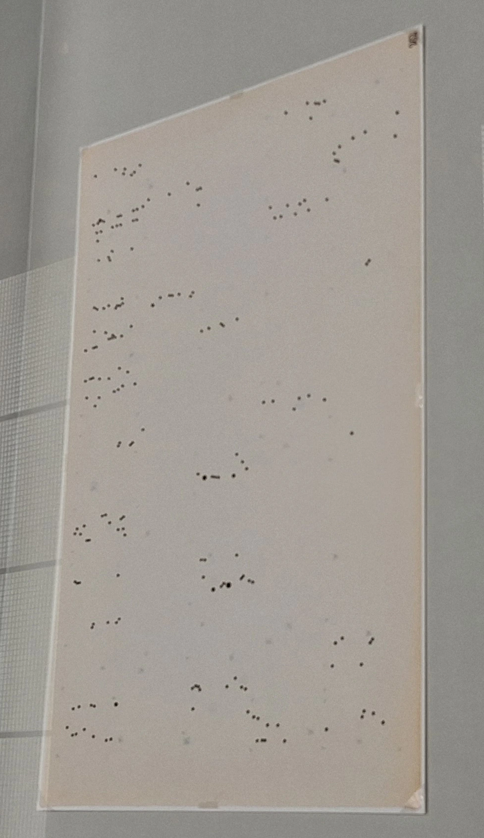 img.jpg?credential=yqXZFxpELC7KVnFOS48ylbz2pIh7yKj8&expires=1772290799&allow_ip=&allow_referer=&signature=BDD%2BufIfkD%2FgamiO6nXsbJhtALA%3D