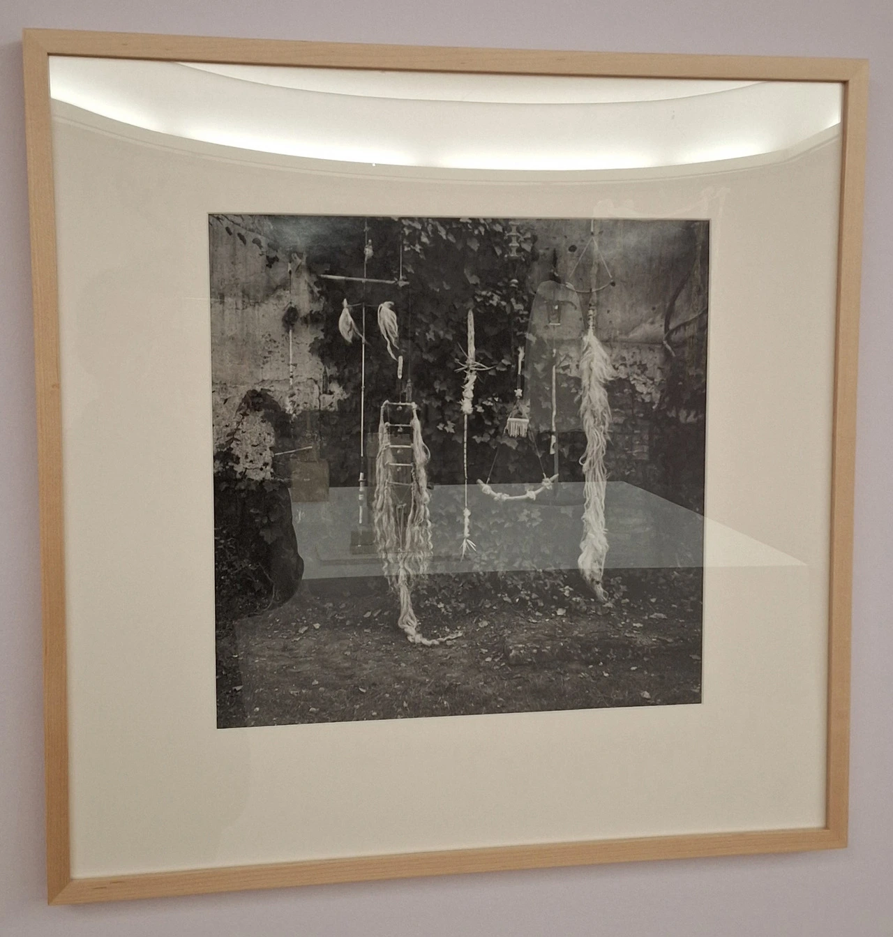 img.jpg?credential=yqXZFxpELC7KVnFOS48ylbz2pIh7yKj8&expires=1772290799&allow_ip=&allow_referer=&signature=RnIS8fkX7gH5d4iybq5G7d6u%2BRA%3D