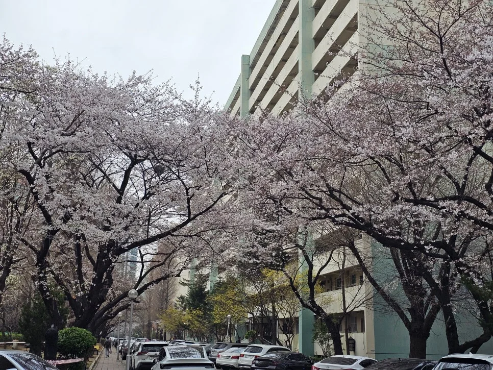 KakaoTalk_20260402_125413322_03.jpg?type=w966