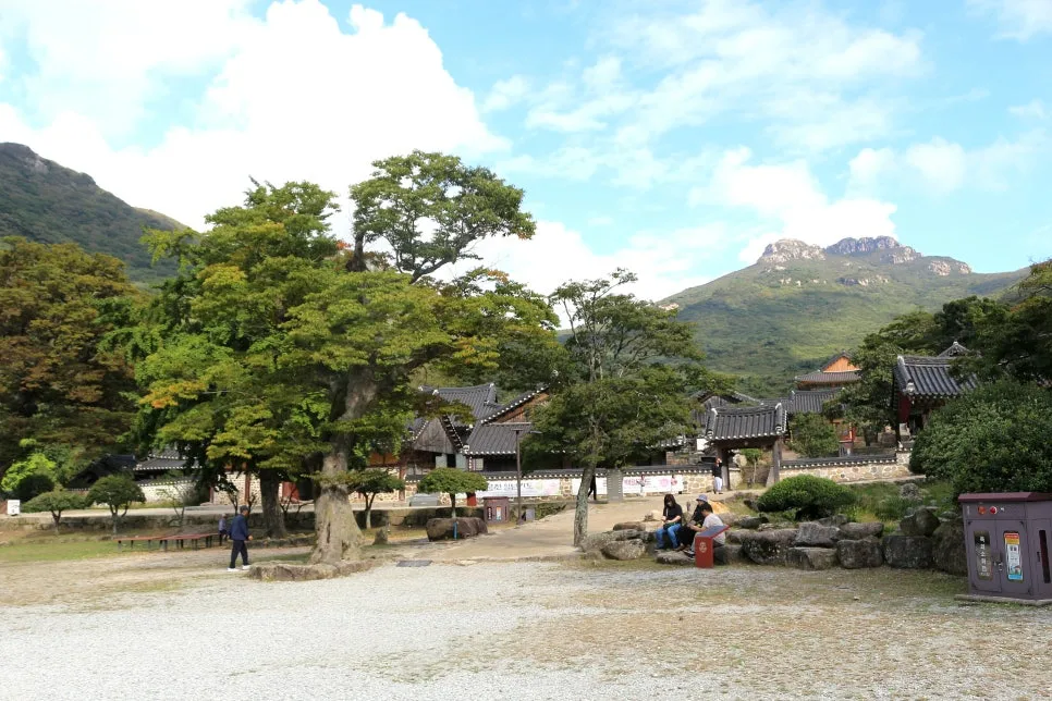 %EA%BE%B8%EB%AF%B8%EA%B8%B0IMG_6693.JPG?type=w966